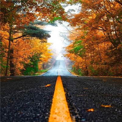 万博体育APP网址